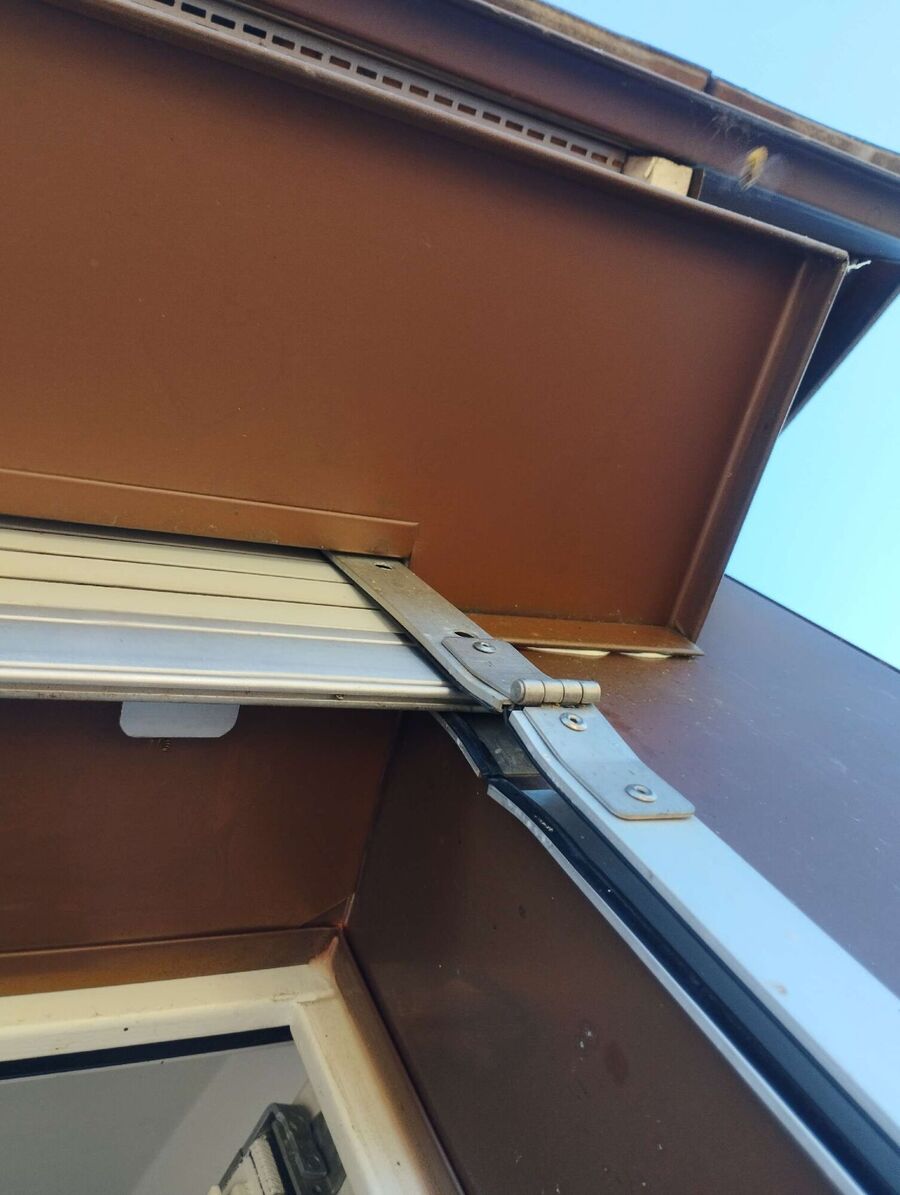 Relocate bees & remove bee nest