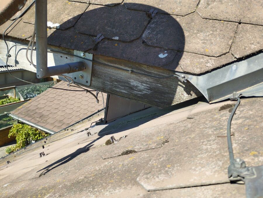 Bee nest at the house remove