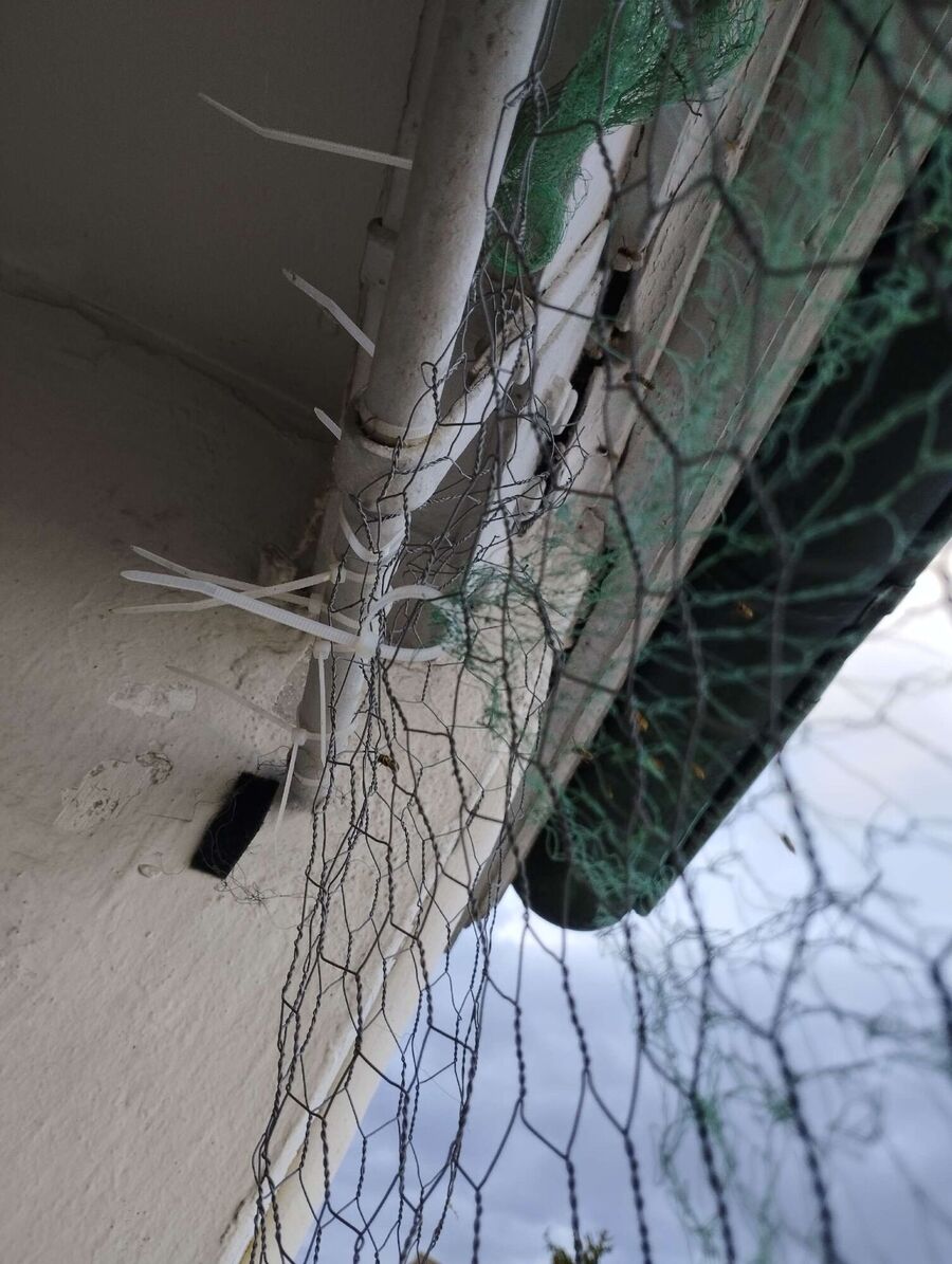 Bee nest at the house remove