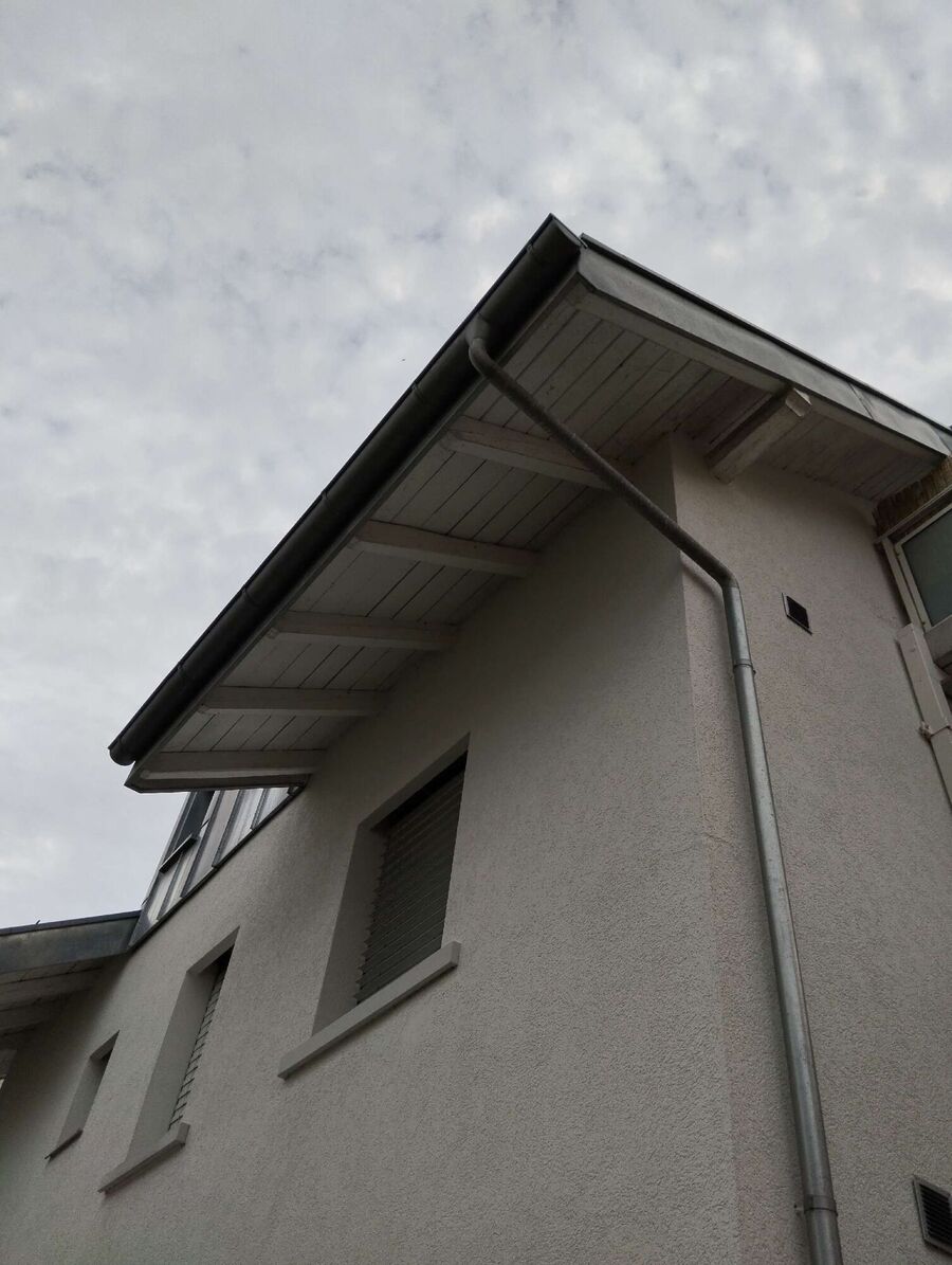 Bee nest at the house remove