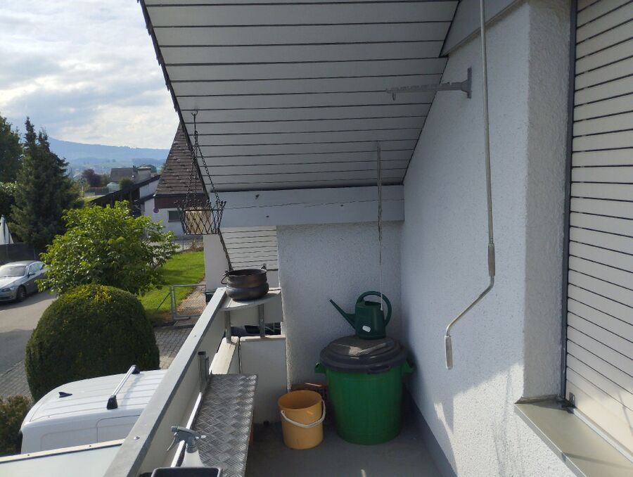 Relocate bees & remove bee nest