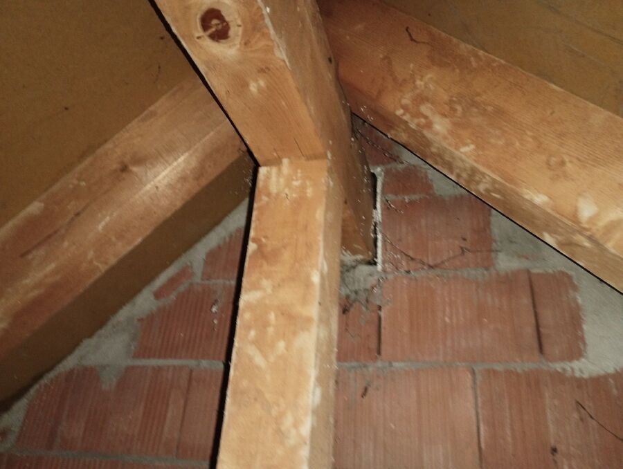 Bee nest at the house remove