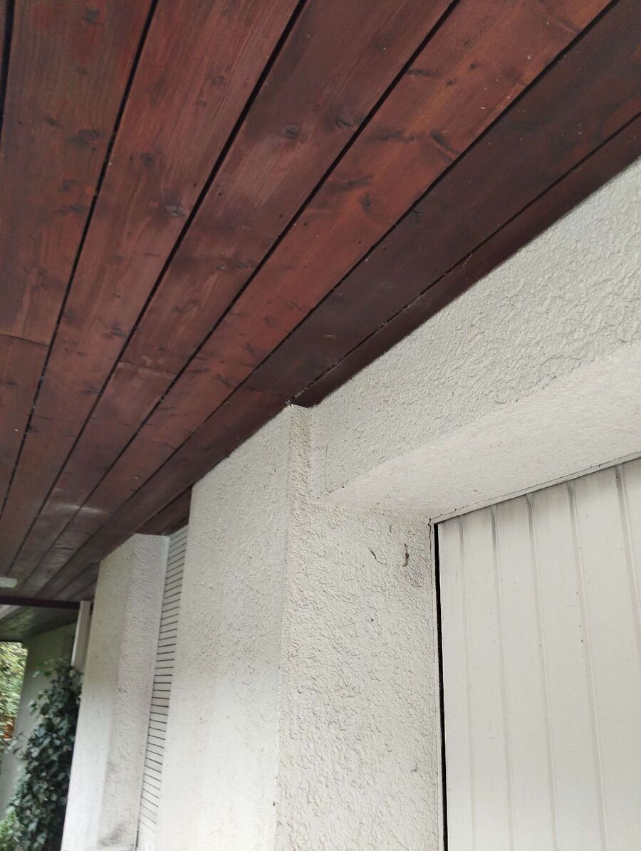 Bee nest at the house remove