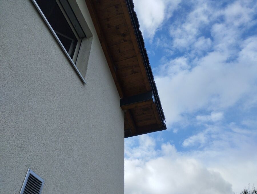 Relocate bees & remove bee nest