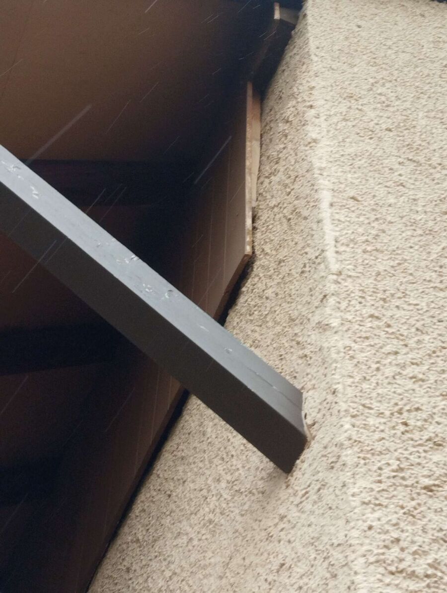 Relocate bees & remove bee nest