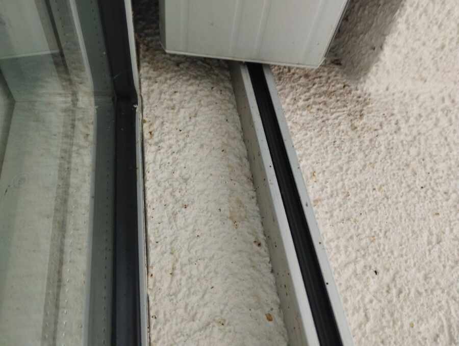 Bee nest at the house remove