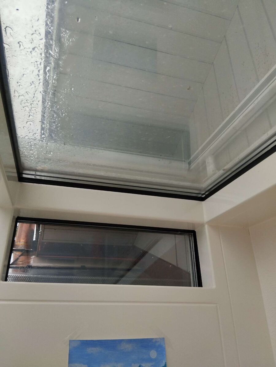 Relocate bees & remove bee nest