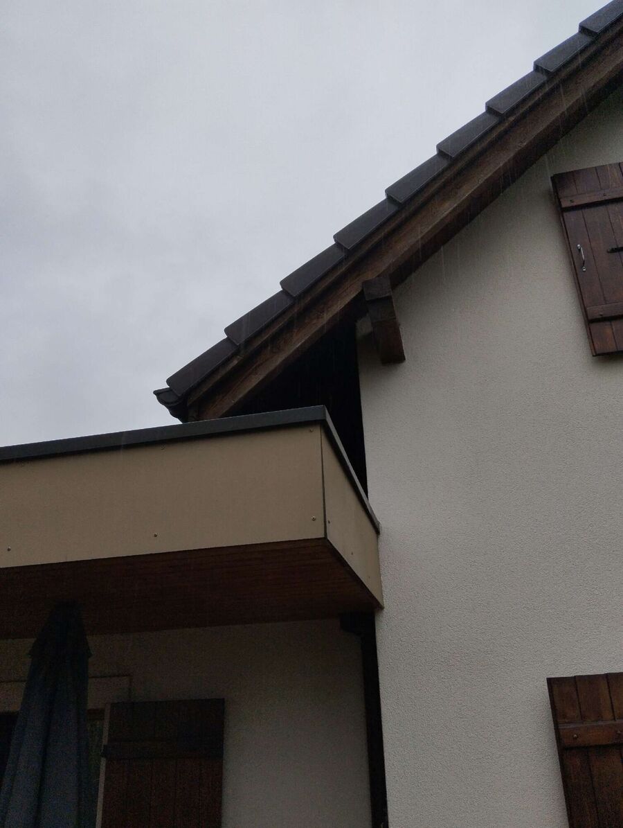 Bee nest at the house remove