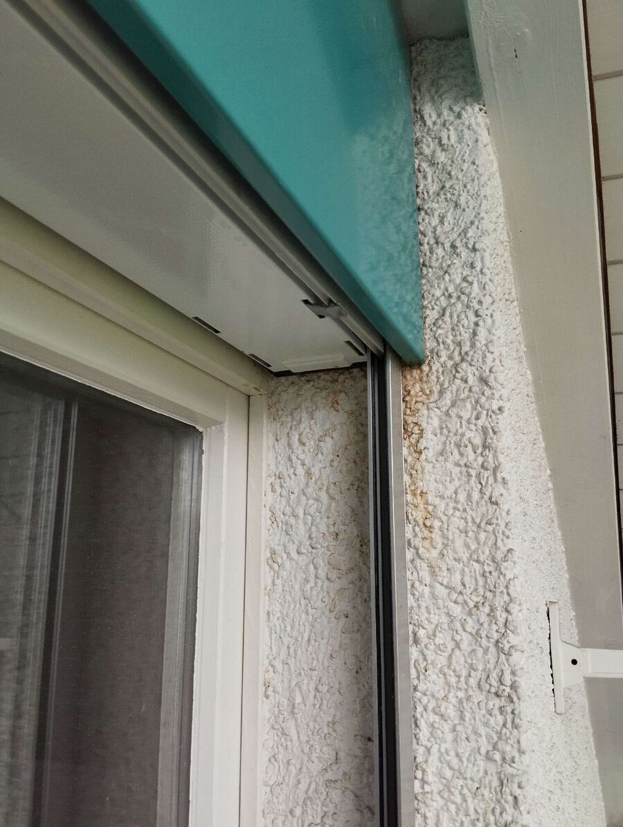 Bee nest at the house remove