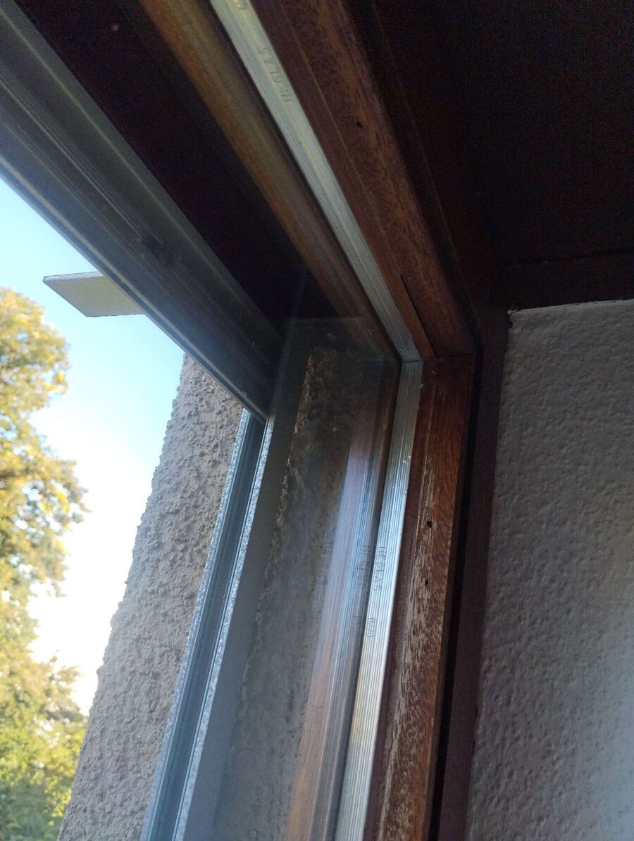 Bee nest at the house remove