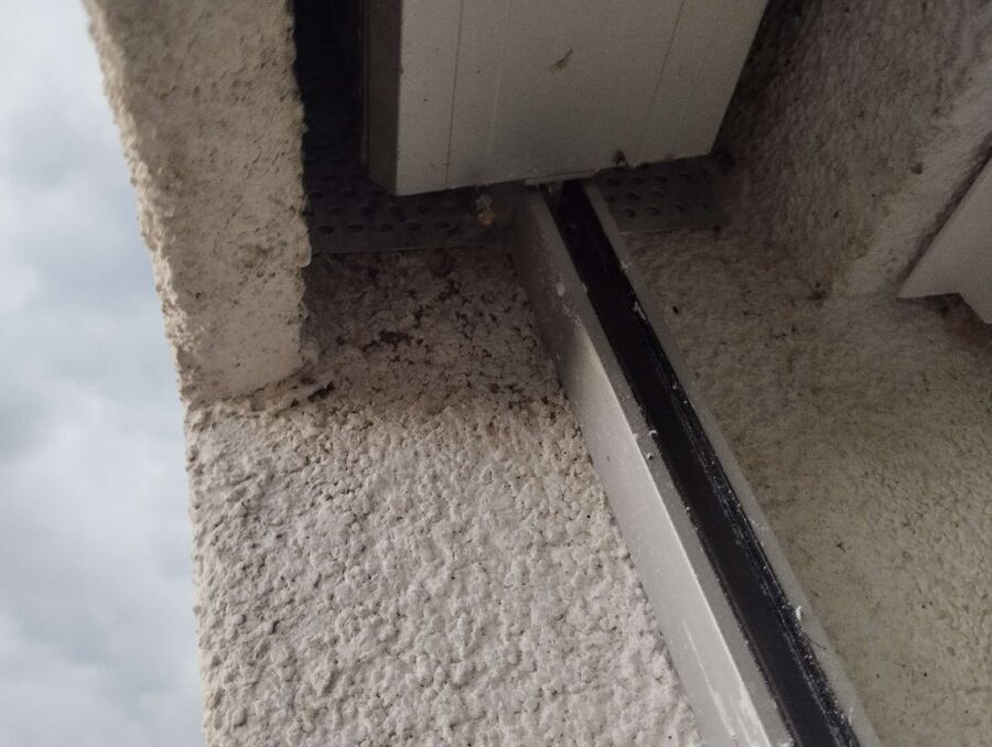 Remove bee nest