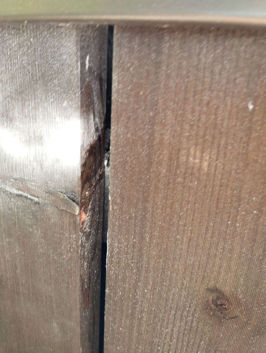 Bee nest at the house remove