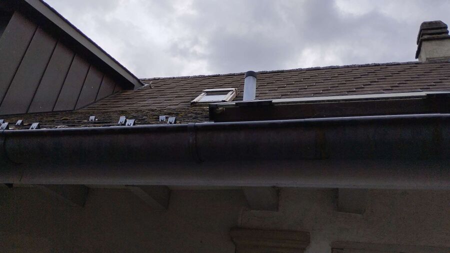 Bee nest at the house remove