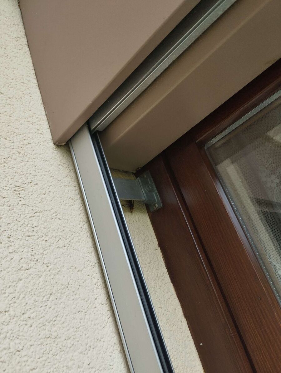 Bee nest at the house remove