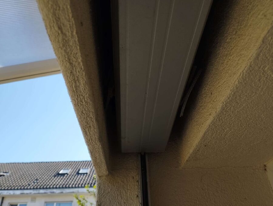 Relocate bees & remove bee nest