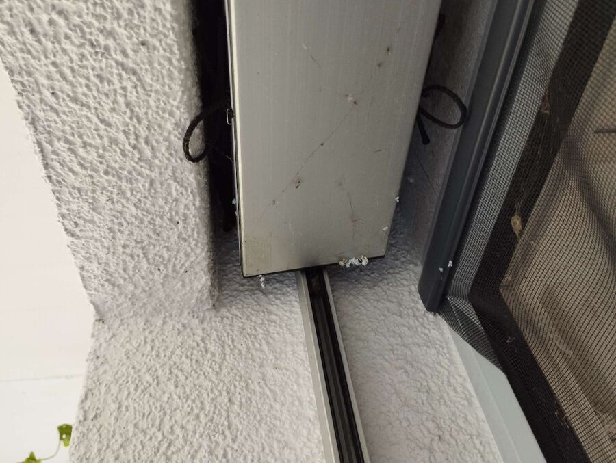 Bee nest at the house remove