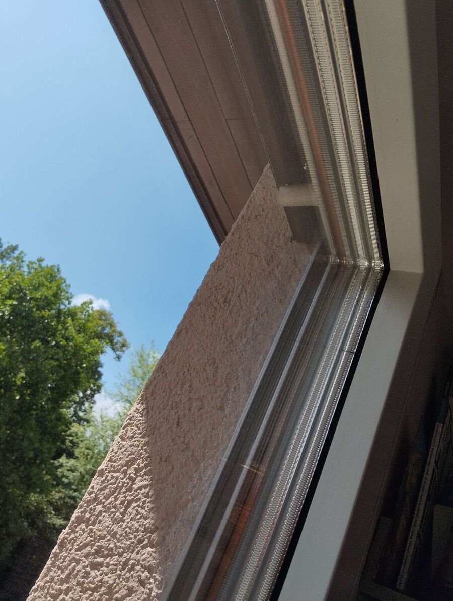 Bee nest at the house remove