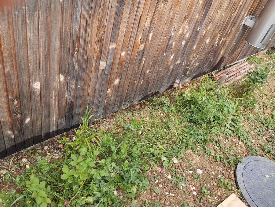 Bee nest at the house remove