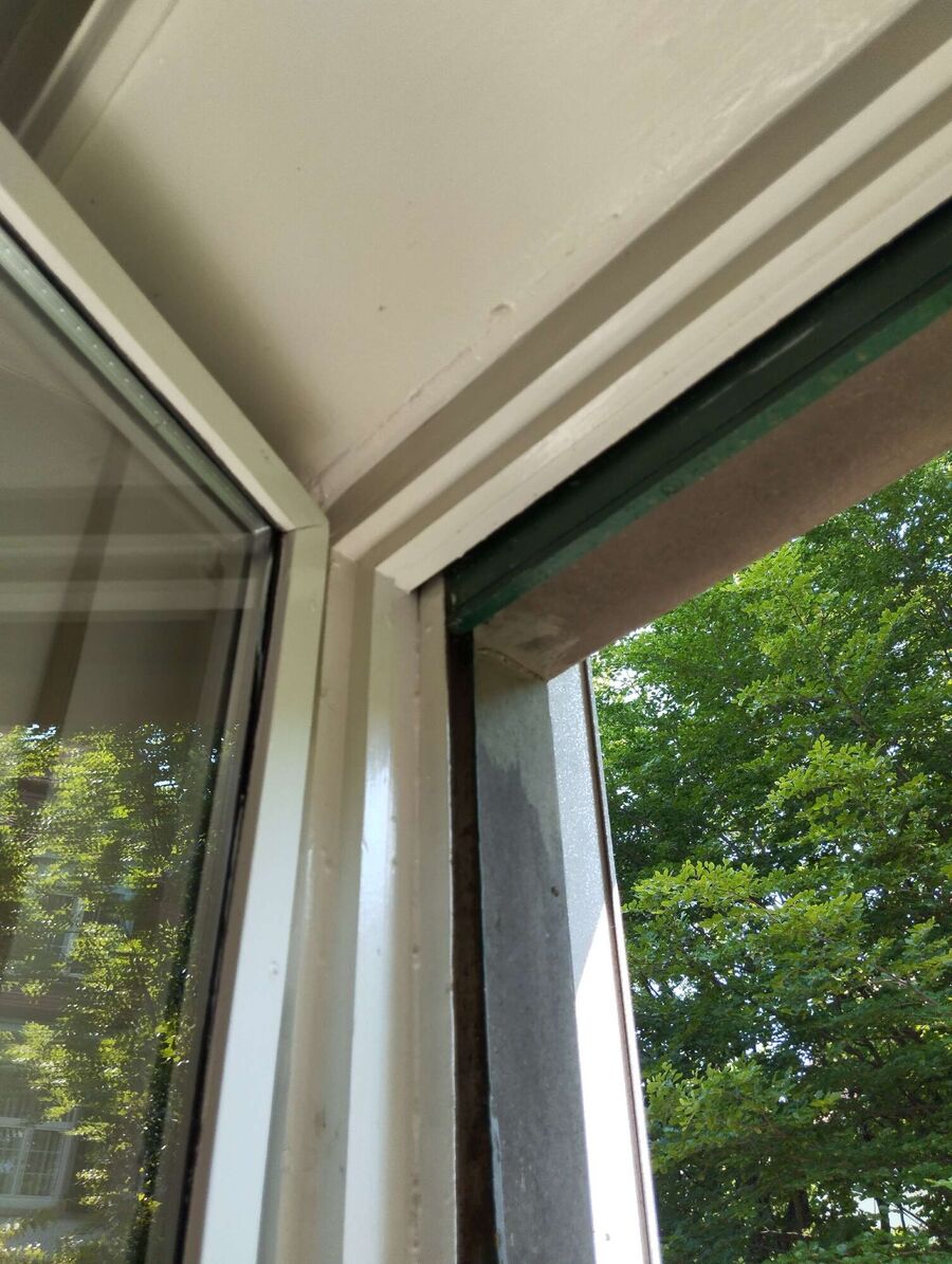 Bee nest at the house remove