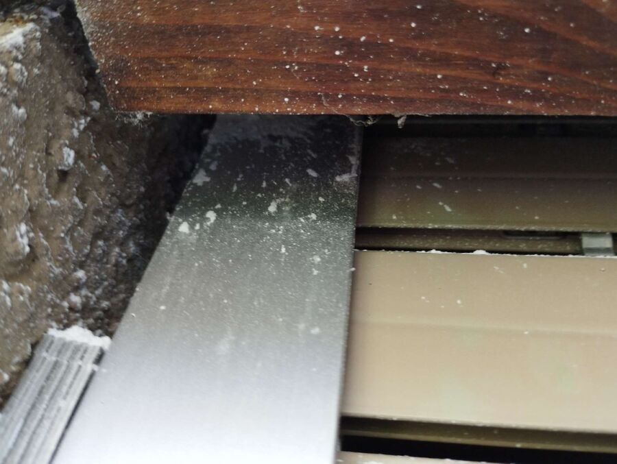 Relocate bees & remove bee nest