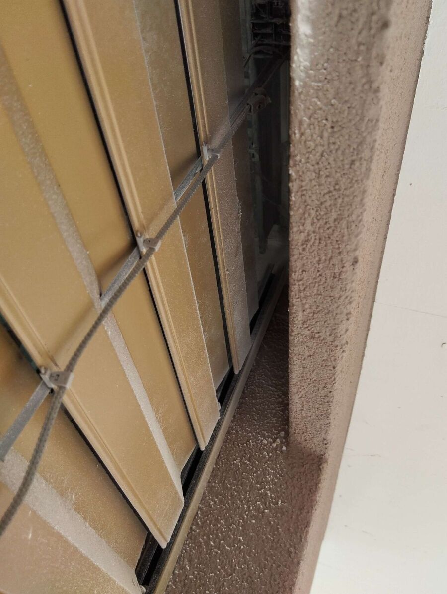 Relocate bees & remove bee nest