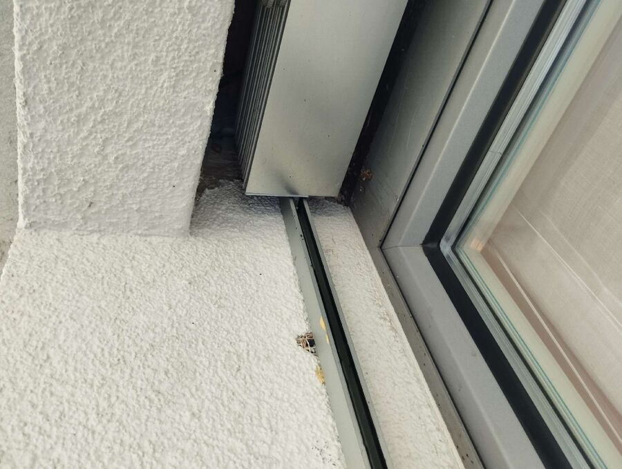 Bee nest at the house remove