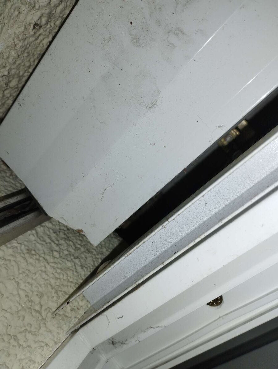 Bee nest at the house remove