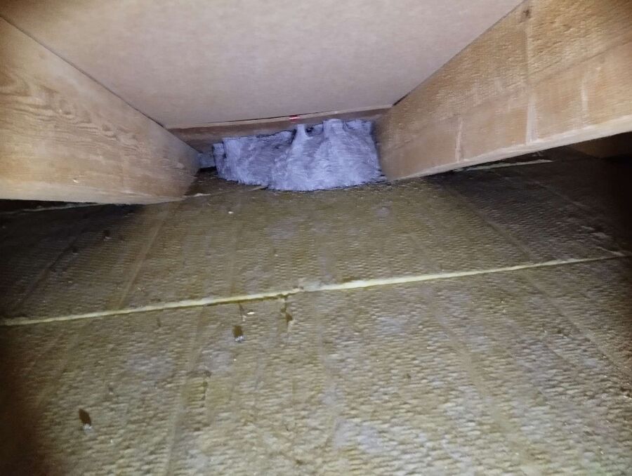 Bee nest at the house remove