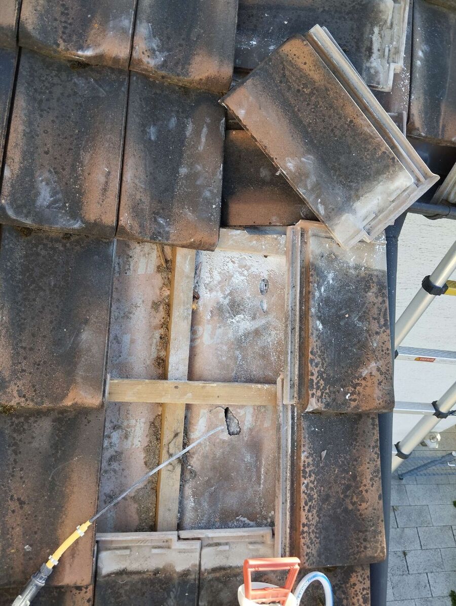 Bee nest at the house remove