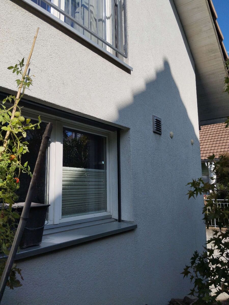 hive-bee (5647).jpeg