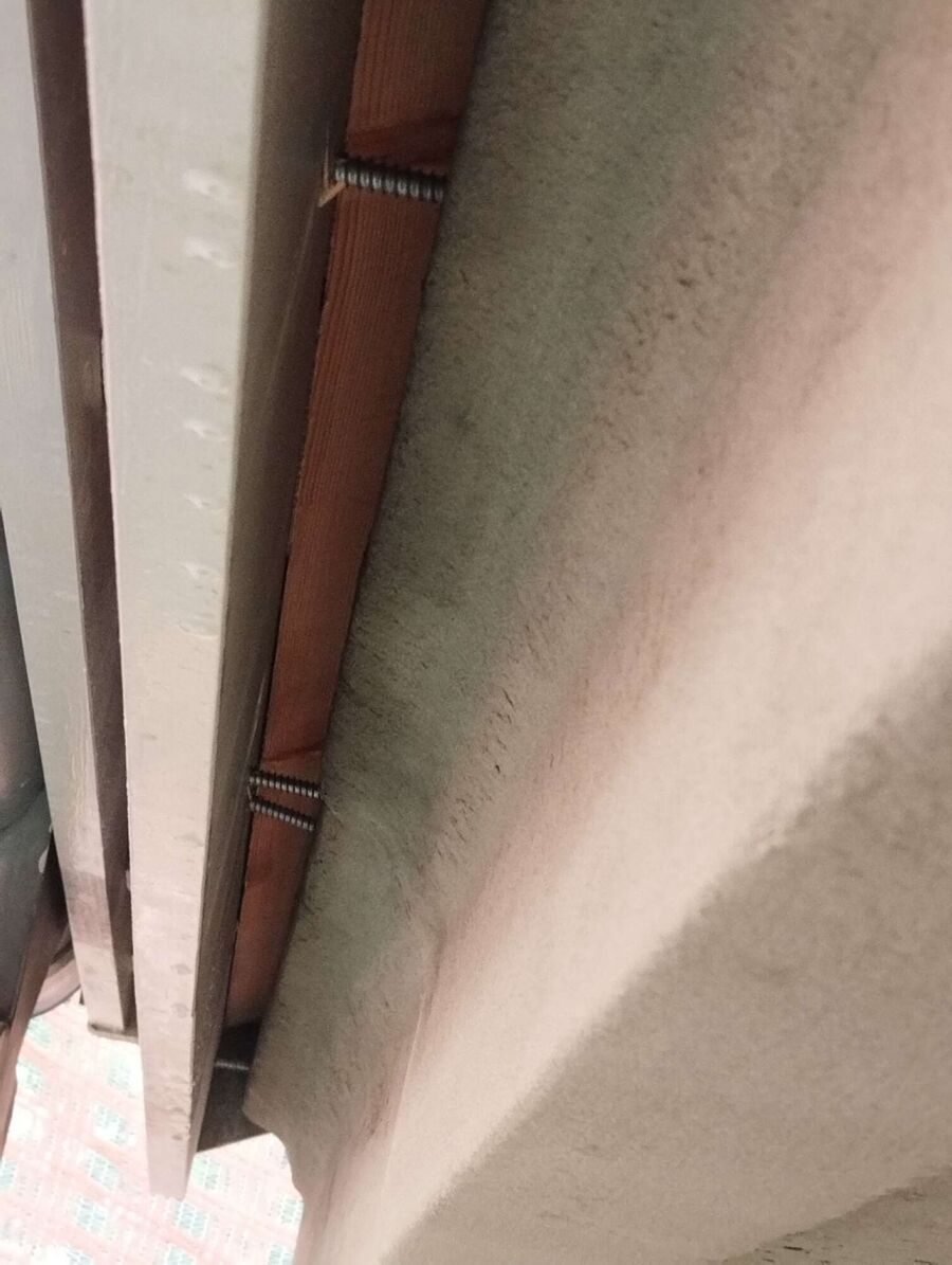 Bee nest at the house remove