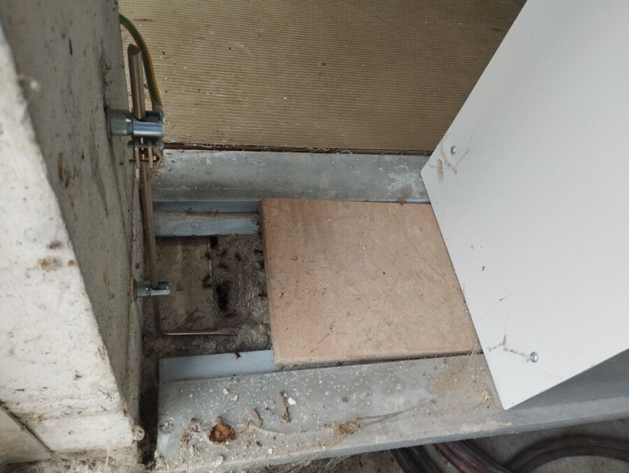 Bee nest at the house remove