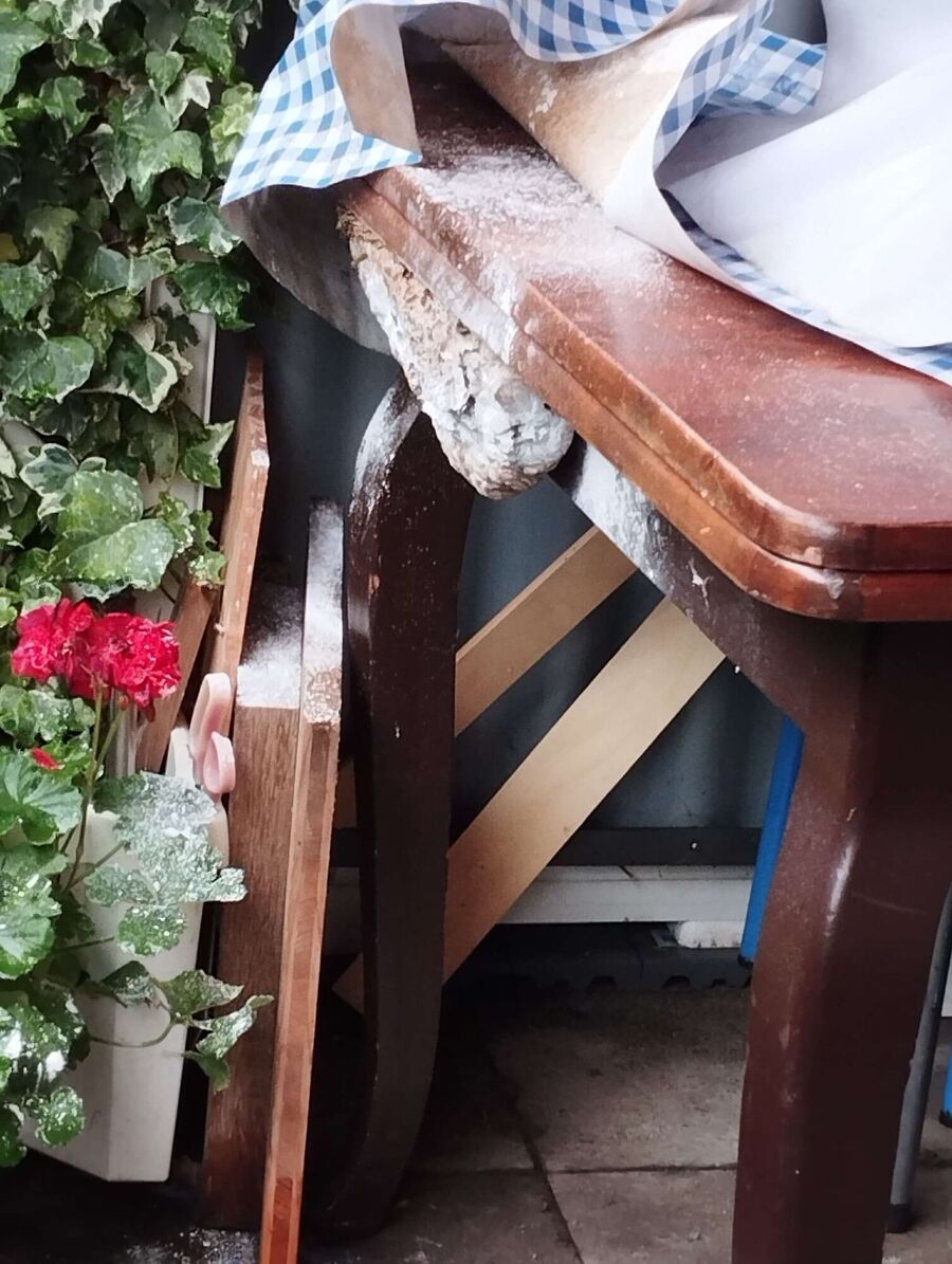 Bee nest at the house remove