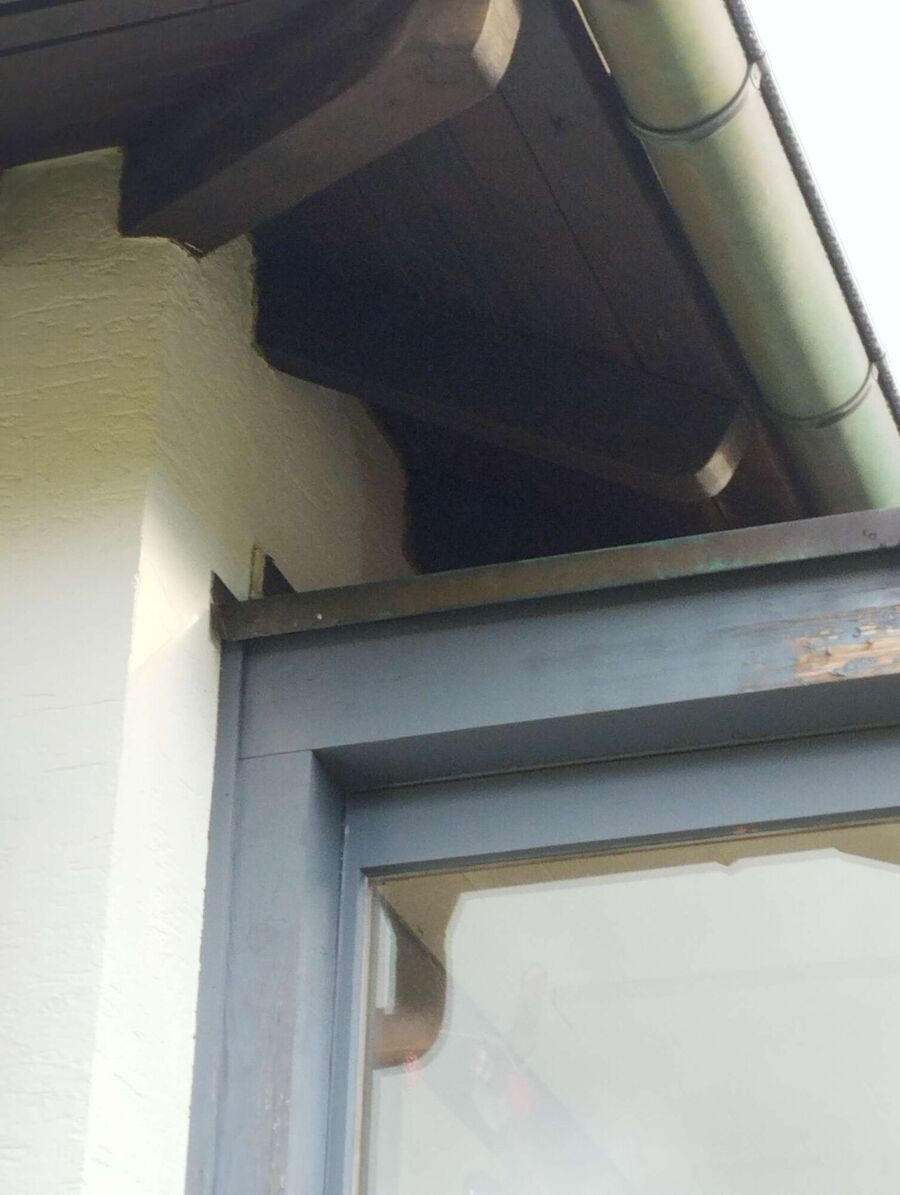 Bee nest at the house remove