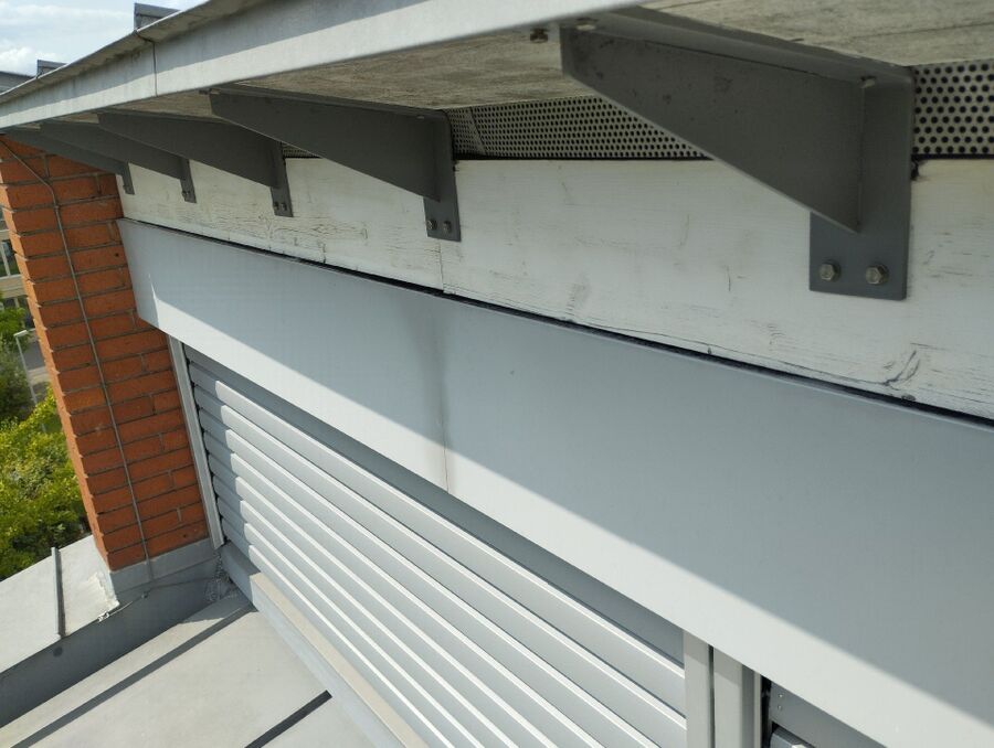 Relocate bees & remove bee nest