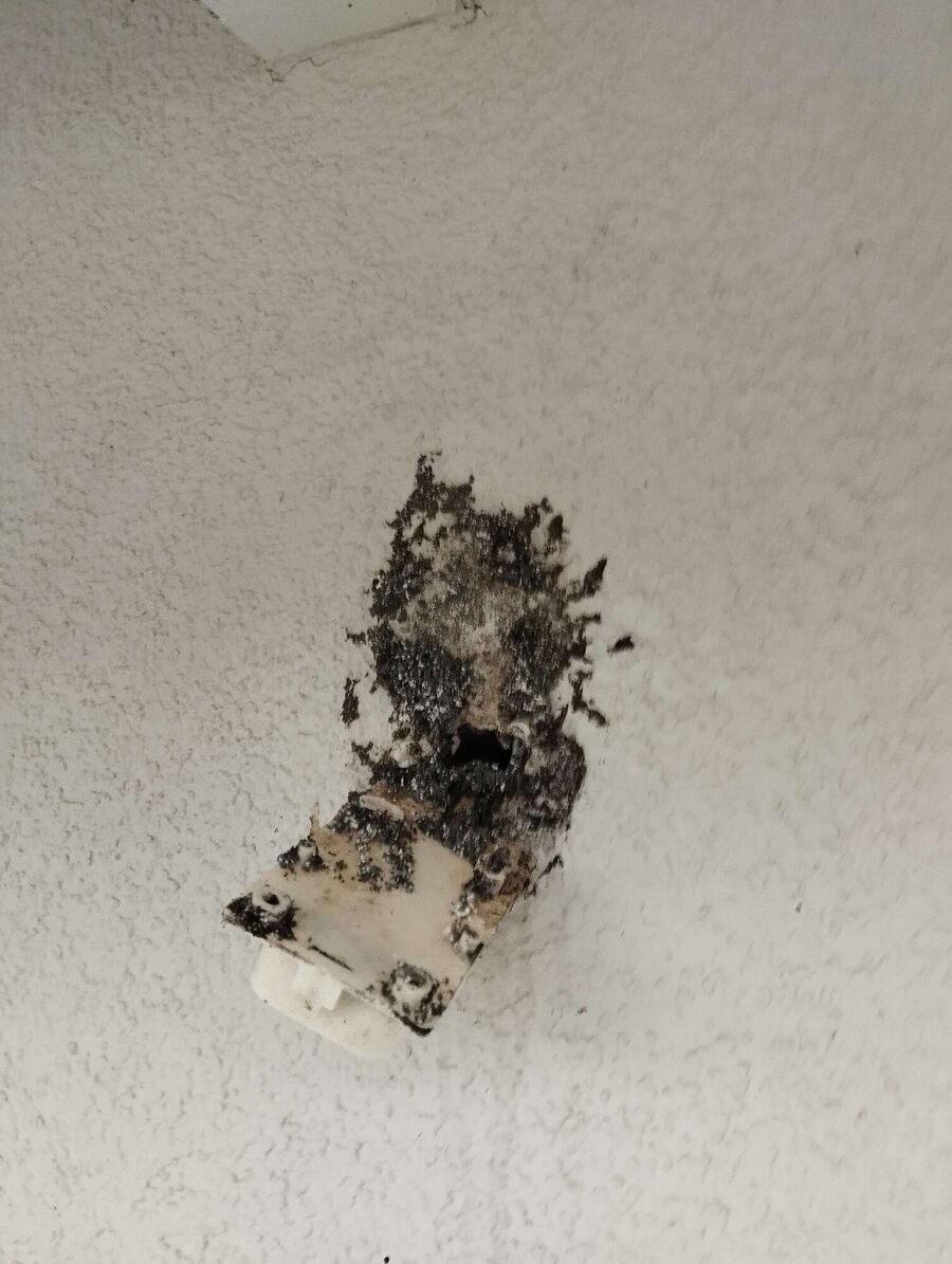 Remove bee nest