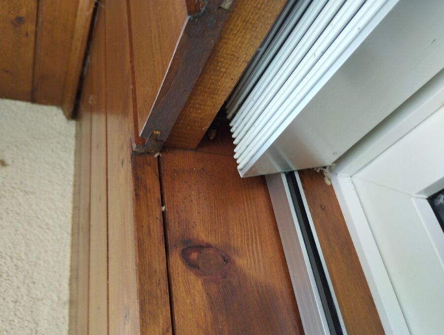 Bee nest at the house remove