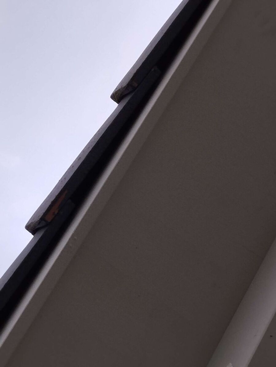 Bee nest at the house remove