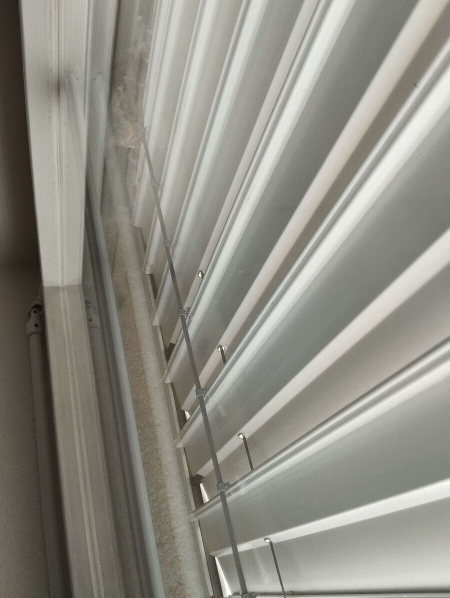 Bee nest at the house remove