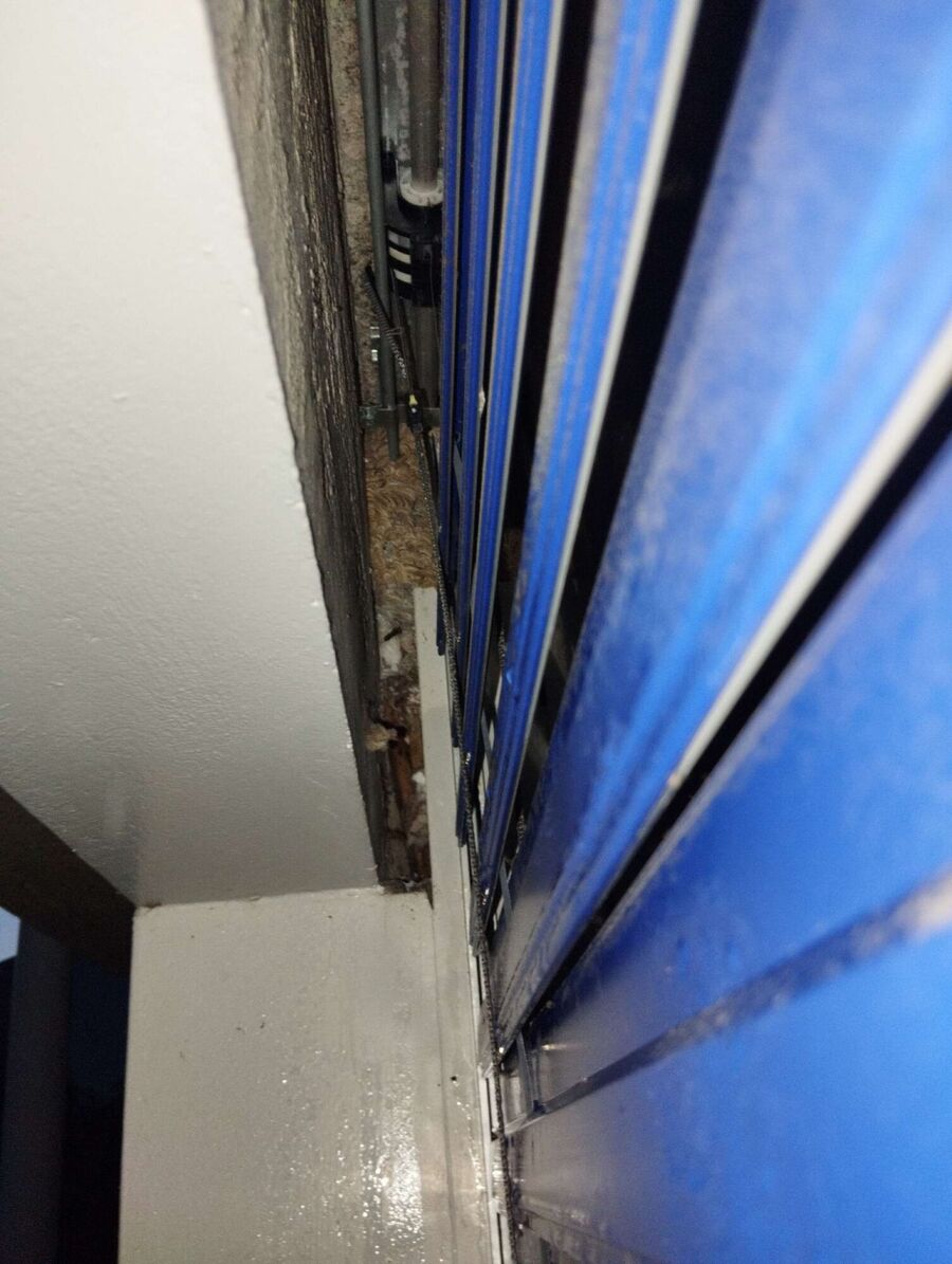 Relocate bees & remove bee nest