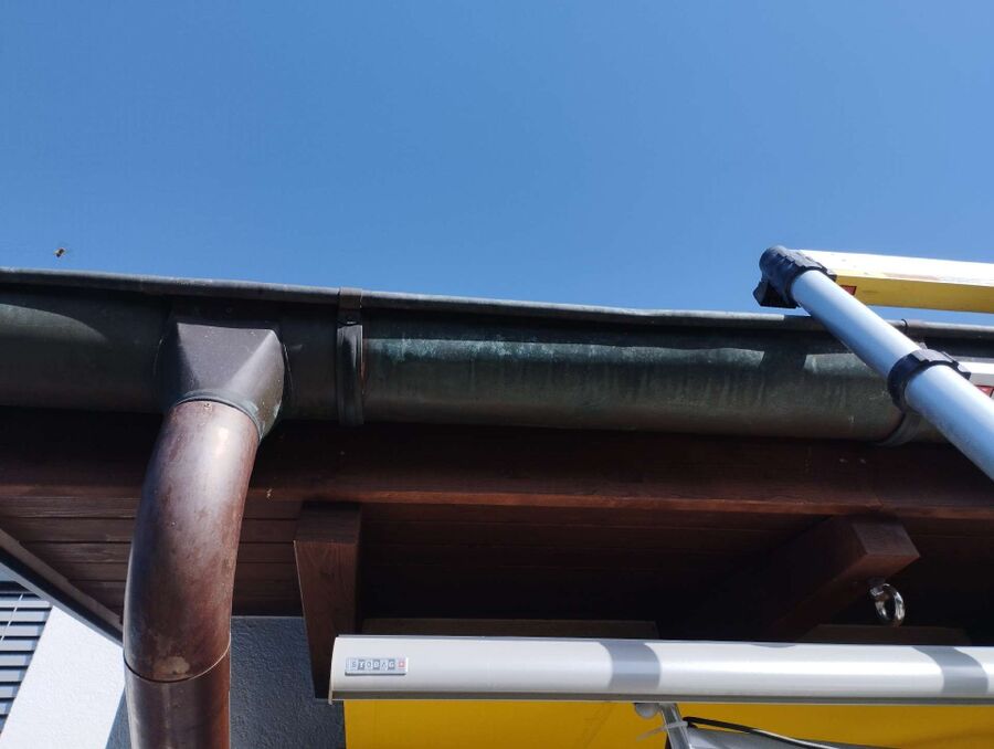 Bee nest at the house remove