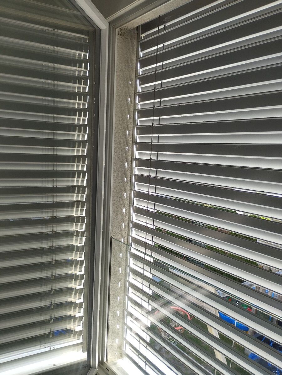 Bee nest at the house remove