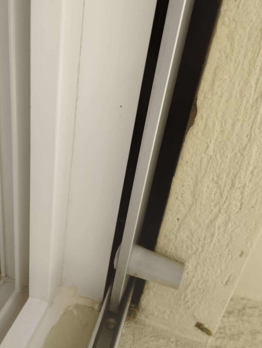 Relocate bees & remove bee nest