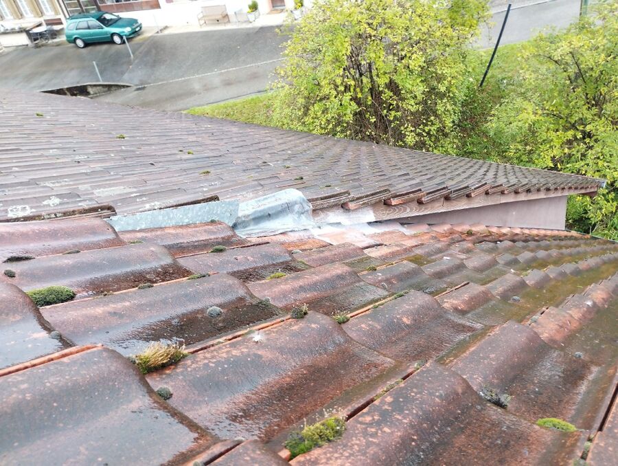 Bee nest at the house remove