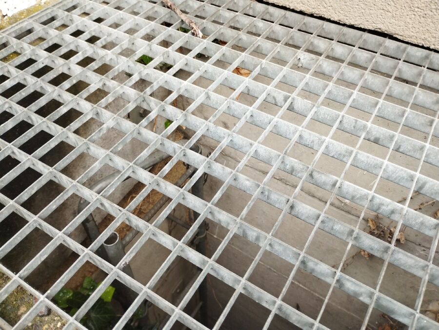 Relocate bees & remove bee nest