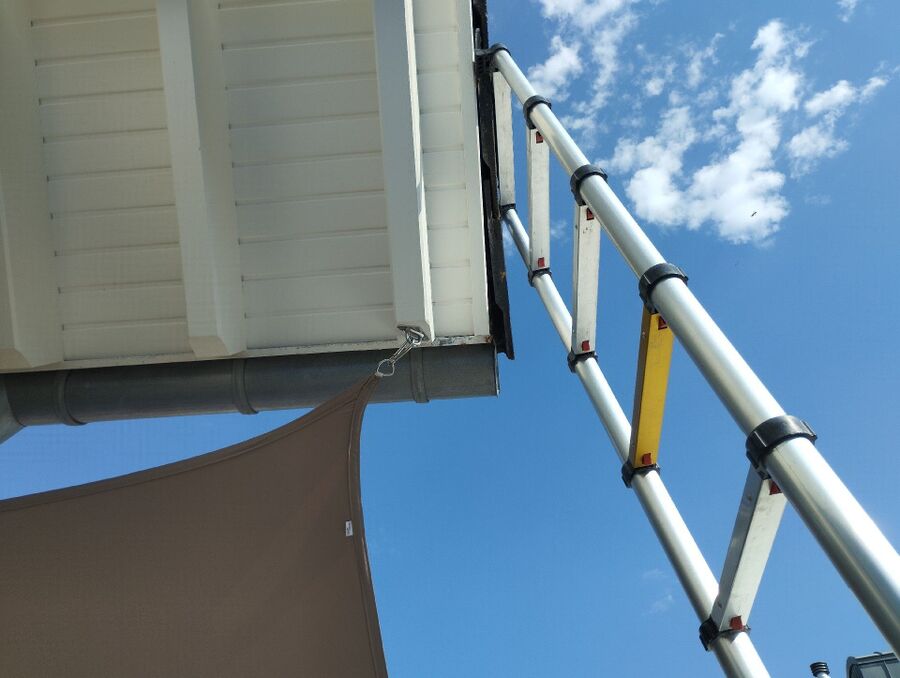 Bee nest at the house remove