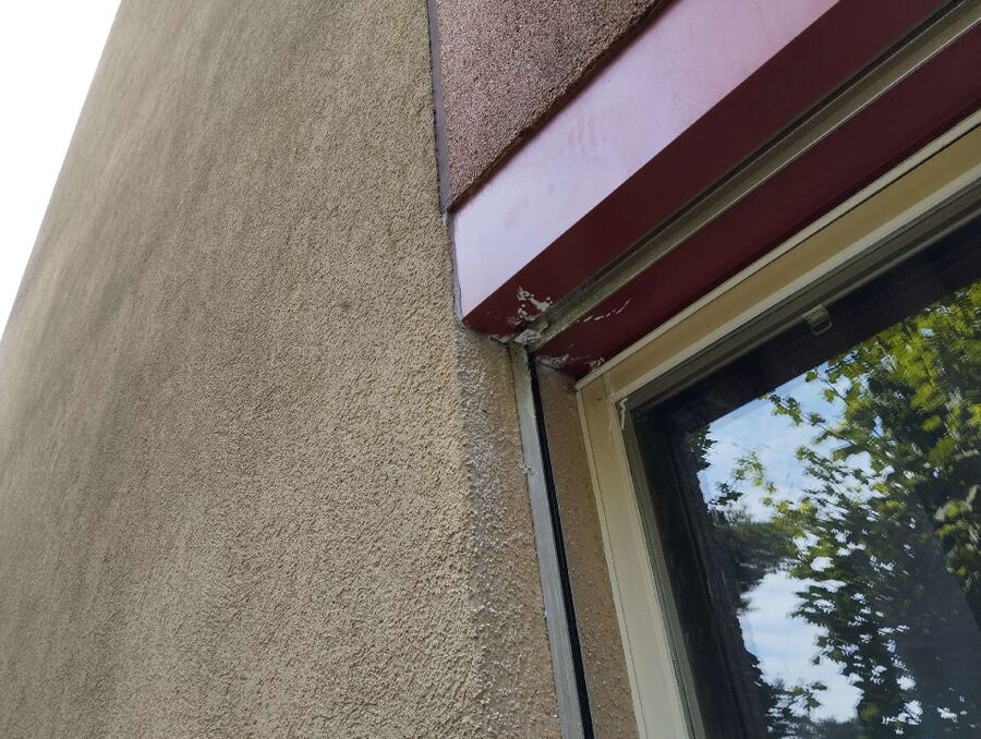 Bee nest at the house remove