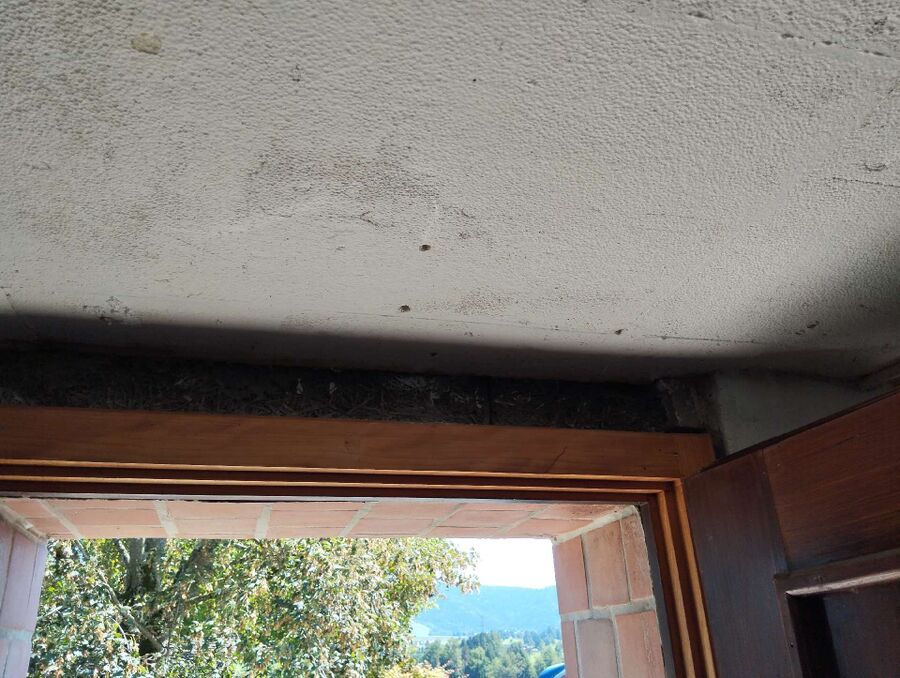 Bee nest at the house remove