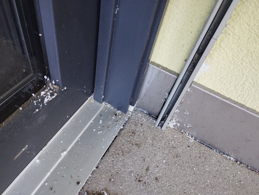 Bee nest at the house remove