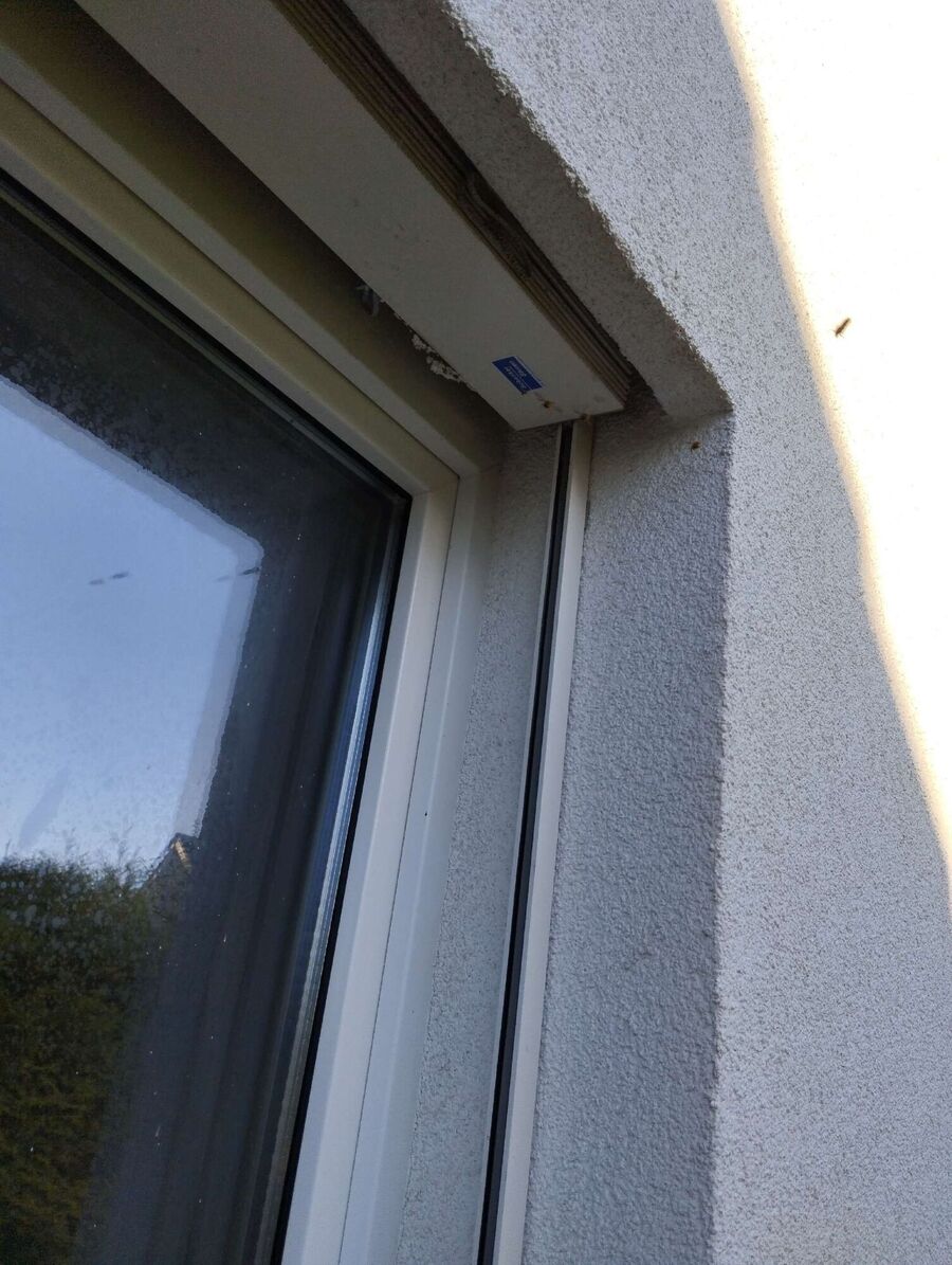 Relocate bees & remove bee nest